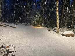 Welch Cabin - A License to Chill