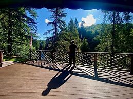 Welch Cabin - A License to Chill