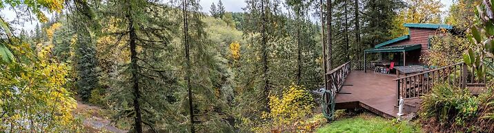 Welch Cabin - A License to Chill