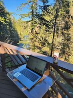 Welch Cabin - A License to Chill