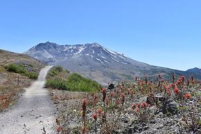 Welch Cabin - A License to Chill