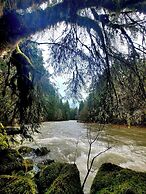 Welch Cabin - A License to Chill