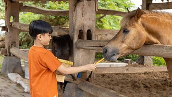 Abhayagiri - Sumberwatu Heritage Resort