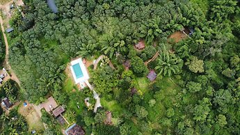 Misty Night Jungle Side Resort