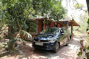 Misty Night Jungle Side Resort