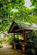 Misty Night Jungle Side Resort