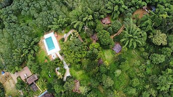 Misty Night Jungle Side Resort