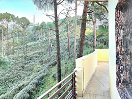 The Cloud Homestay