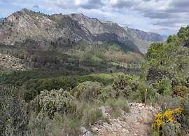 Beautiful Apartment With View