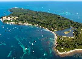 Apartment With Terrace in Cannes