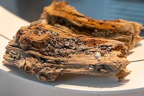 Ferienwohnung in St. Peter-ording