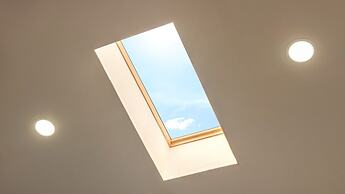 Gangneung Nineone Pet Pension