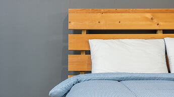 Gangneung Nineone Pet Pension