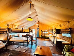 Camping De Helleborus