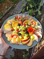 Camping De Helleborus