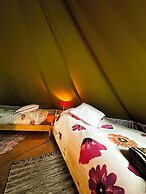 Camping De Helleborus