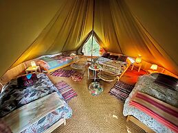 Camping De Helleborus