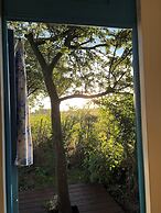 Camping De Helleborus