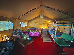 Camping De Helleborus