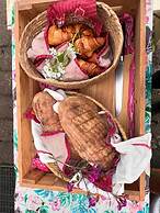 Camping De Helleborus