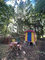 Camping De Helleborus