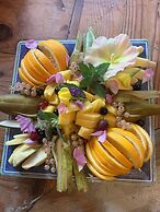 Camping De Helleborus