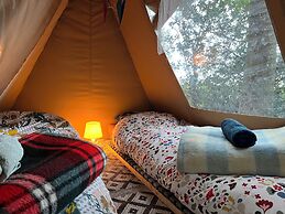Camping De Helleborus