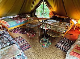 Camping De Helleborus