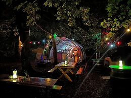 Camping De Helleborus