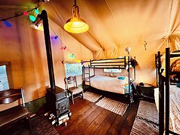 Camping De Helleborus