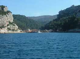 House of Green Experience