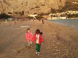 House of Green Experience