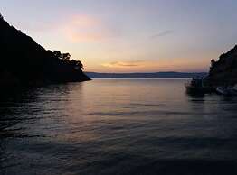 House of Green Experience