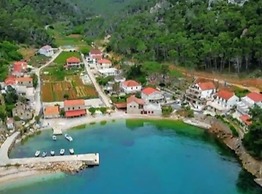 House of Green Experience