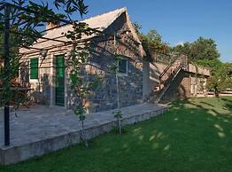 House of Green Experience