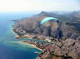 House of Green Experience