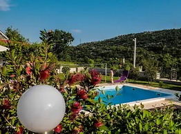 House of Green Experience