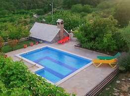 House of Green Experience