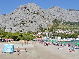 House of Green Experience