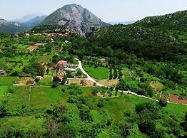 House of Green Experience