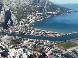 House of Green Experience