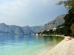 House of Green Experience