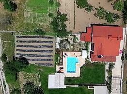 House of Green Experience