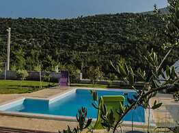 House of Green Experience