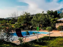 House of Green Experience