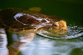 Villa Delfin in Dalyan