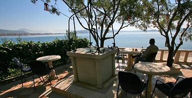 Villa Segetski dvori – Tradition since 1964