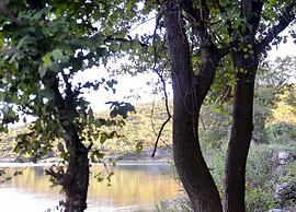 Ferienhaus mit Klimaanlage