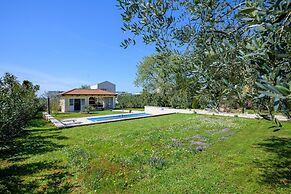 Attractive Apartment With Garden