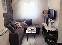 Spacious Novi Vinodolski Apartments With Terrace and Shared Pool